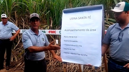 NA USINA SANTA FÉ, NEMATICIDA ENTREGA MAIS PERFILHOS E MENOS FALHAS