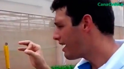 Aclimatação em sol pleno Plene Evolve - Biofábrica da Syngenta