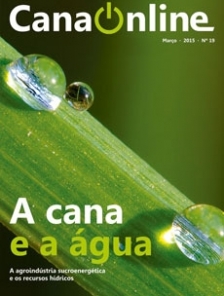 Edição 19 - Portal CanaOnline - Março 2015