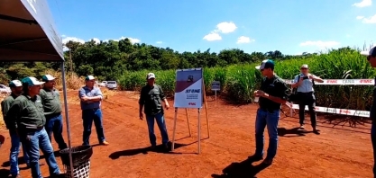 Uma aula sobre controle de plantas daninhas no canavial