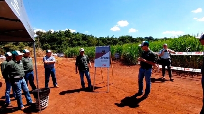 Uma aula sobre controle de plantas daninhas no canavial