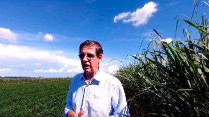 Rotação de cultura Meiosi e MPB