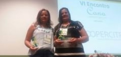 As mulheres motoristas do setor sucroenergético de Minas Gerais