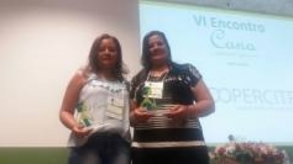 As mulheres motoristas do setor sucroenergético de Minas Gerais