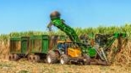 Jalles Machado conta com a eficiência feminina para melhorar o desempenho