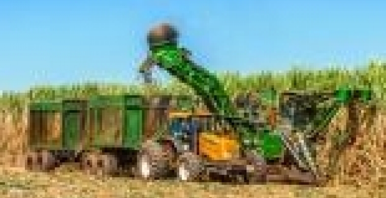 Jalles Machado conta com a eficiência feminina para melhorar o desempenho