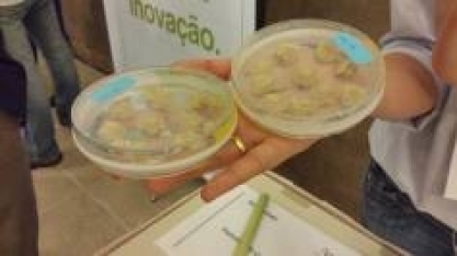 CTC vai Expor Tecnologias Inovadoras no V Encontro Cana Substantivo Feminino