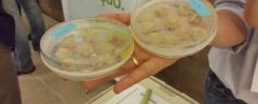 CTC vai Expor Tecnologias Inovadoras no V Encontro Cana Substantivo Feminino