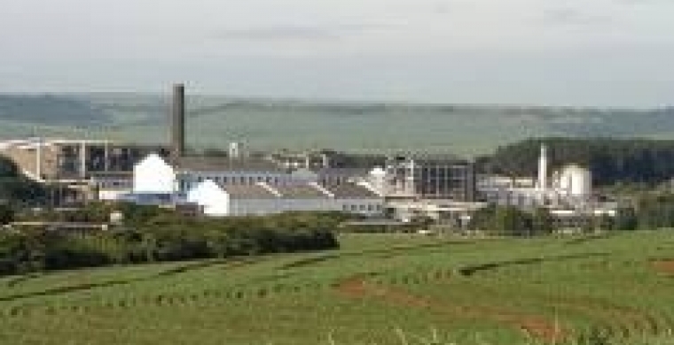 Grupo São Martinho apoia o V Encontro Cana Substantivo Feminino