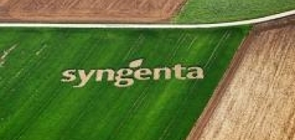 Syngenta apoia o VI Encontro Cana Substantivo Feminino