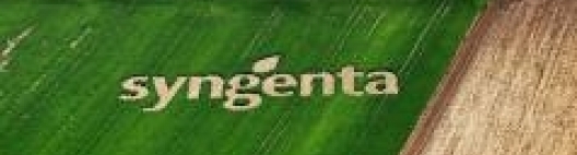 Syngenta apoia o VI Encontro Cana Substantivo Feminino