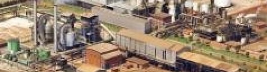 Do levantamento de pragas para motorista de colaboradores