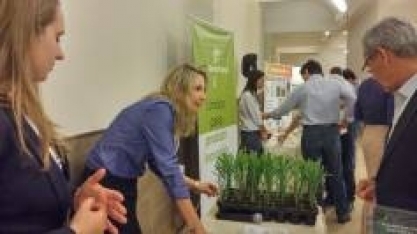 A cana do futuro também está nas mãos das mulheres