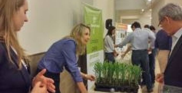 A cana do futuro também está nas mãos das mulheres