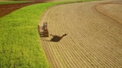 Moagem atinge 38,51 milhões de toneladas e venda de hidratado segue aquecida na 1ª quinzena de setembro