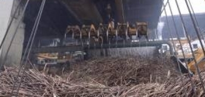 Usina Cucaú inicia moagem da cana-de-açúcar