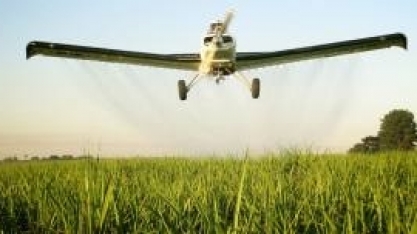 Usinas apostam na adubação foliar para incremento de produtividade