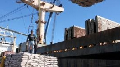 Exportações de açúcar caem na região de Ribeirão Preto