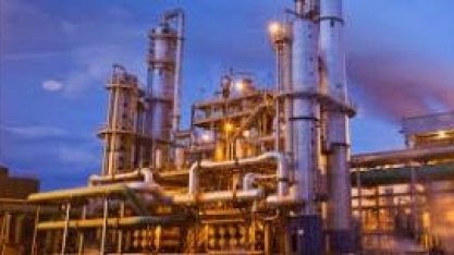 Biosev volta a subir após venda de usina; BB-BI coloca ativos em revisão