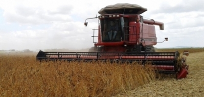 Produção agrícola de alagoas registra queda de mais 50%, estima IBGE