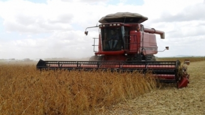 Produção agrícola de alagoas registra queda de mais 50%, estima IBGE