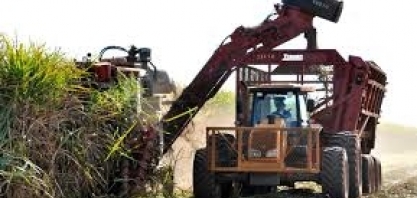 Preços da energia no Brasil devem direcionar cotações do açúcar em 2019, diz COFCO