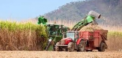 Moagem da cana em MG totaliza 61,2 mi até 30 de novembro