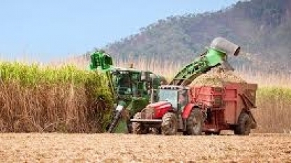 Moagem da cana em MG totaliza 61,2 mi até 30 de novembro