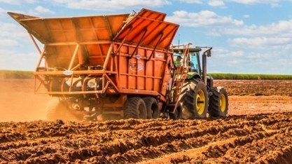 Em alta, plantio mecanizado diminui consumo de mudas por hectare