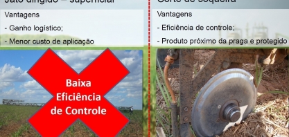 A eficiência da aplicação de inseticidas cortando a soqueira no controle do Sphenophorus levis