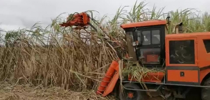 China promete novas medidas para aumentar mecanização do setor agrícola