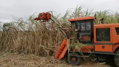 China promete novas medidas para aumentar mecanização do setor agrícola