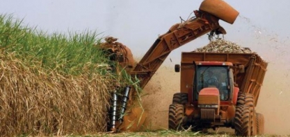 Cana/Conab: país deve colher 615,84 mi de t em 2018/19