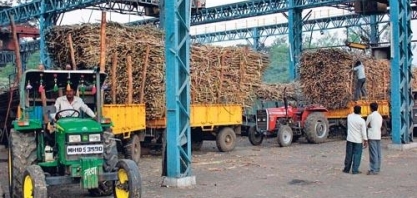 Brasil terá apoio de outros produtores em disputa com a Índia