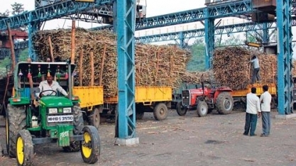 Brasil terá apoio de outros produtores em disputa com a Índia