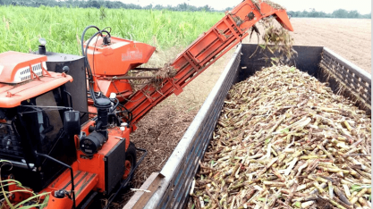 Rabobank corta previsão de superávit global de açúcar em 2018/19 para 500 mil t