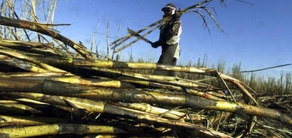 Governo dá incentivos para bahia virar autossuficiente em álcool e açúcar