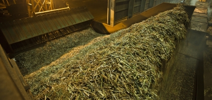 Moagem atinge 14,58 milhões de toneladas na segunda quinzena de novembro