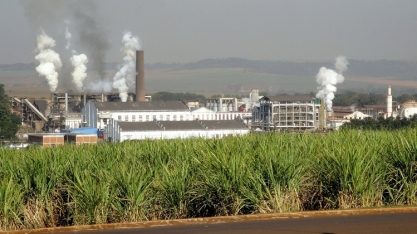 Biometano da vinhaça pode suprir parte da demanda por gás natural em SP