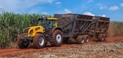 Principais produtos agrícolas perdem receitas em 2019; maior redução fica para a cana