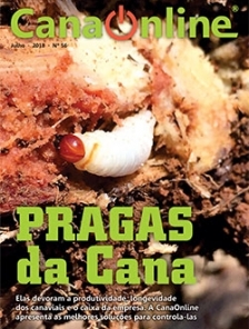 Edição 56 - Portal CanaOnline - Julho 2018