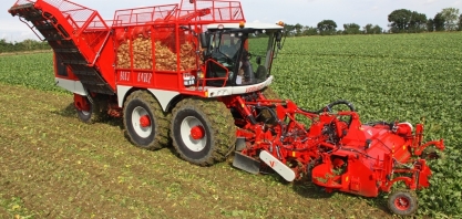 Redução no superávit de açúcar cria perspectiva favorável ao setor, diz RABOBANK