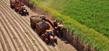 Moagem atinge 21,29 milhões de toneladas na 1ªquinzena de novembro
