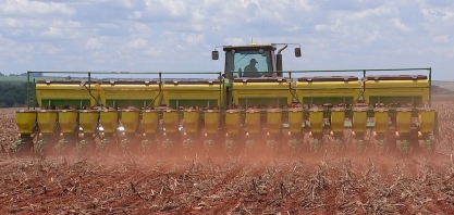 Grãos avançam sobre áreas de canaviais no Centro-Oeste de SP