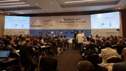 Etanol mais verde é apresentado como modelo de sucesso em evento da COP14