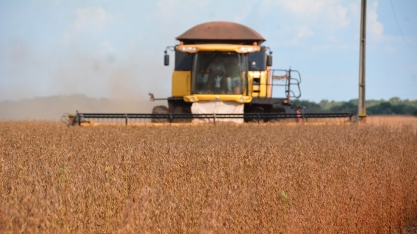 Soja avança sobre cana e pastagens em MS
