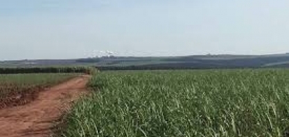 Brasilagro vende 103 hectares da Fazenda Alto Taquari (MT) por R$ 8 milhões