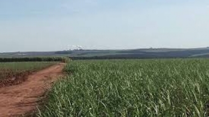Brasilagro vende 103 hectares da Fazenda Alto Taquari (MT) por R$ 8 milhões