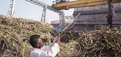 Produção de açúcar da Índia em 2018/19 atinge 7,05 mi de t até 15 de dezembro