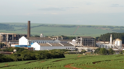 São Martinho contrata assistente de serviços agrícolas